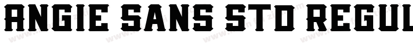 Angie Sans Std Regul字体转换